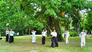Aikido auf der Remstal Gartenschau 2019