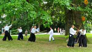 Aikido auf der Remstal Gartenschau 2019